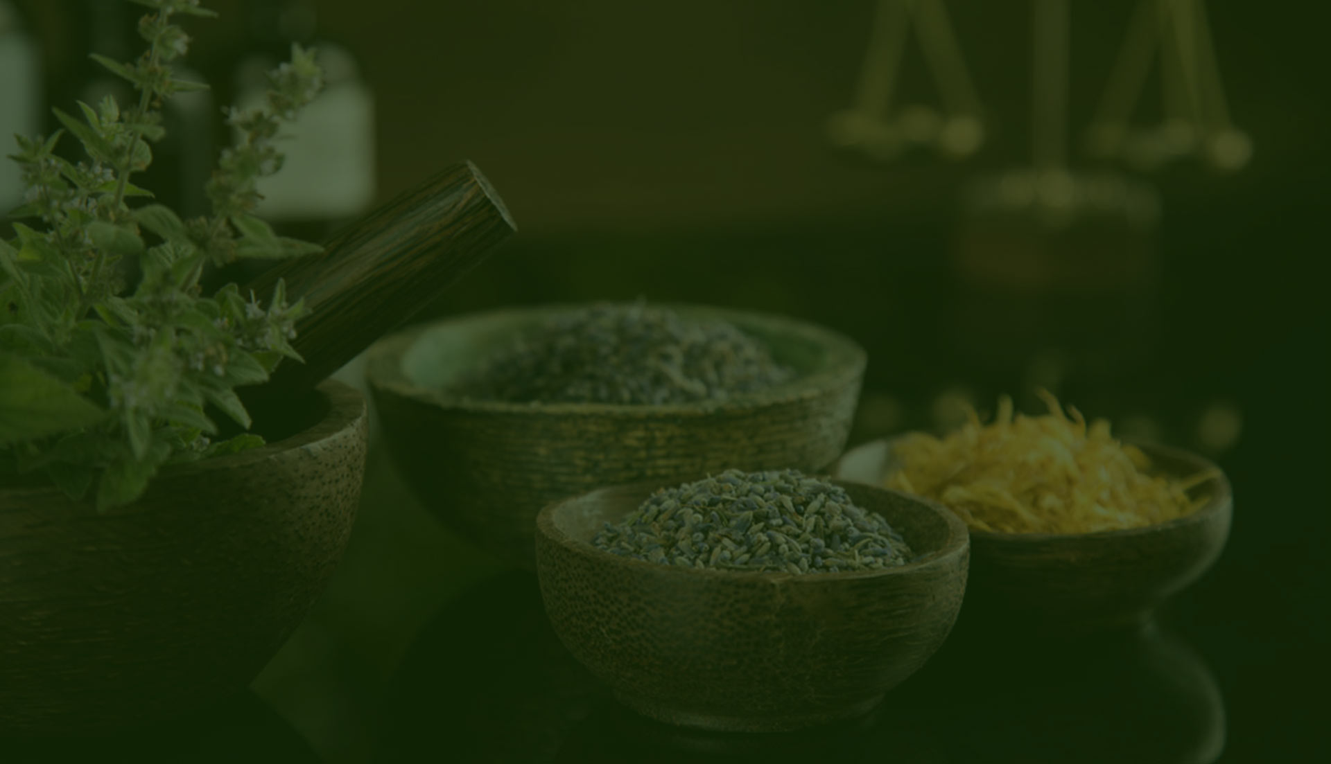 DR. JASNA'S AYURVEDA CLINIC