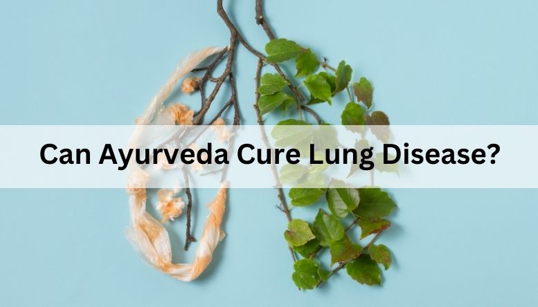 Can Ayurveda Cure Lung Disease